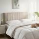 Option Beige