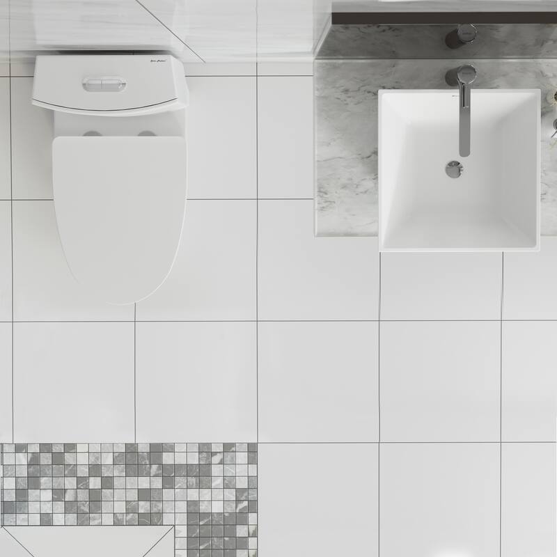 St. Tropez One Piece Elongated Toilet Dual Vortex Flush 1.1/1.6 gpf with 10" Rough In