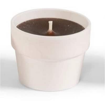 Terra Cotta Potted Candle - 4" - White