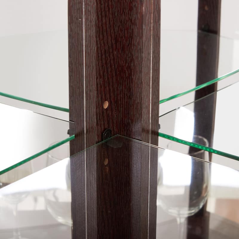 Corner Lighted Glass Curio Cabinet with Doors, Shelves and Mirrored Back for Display and Storage