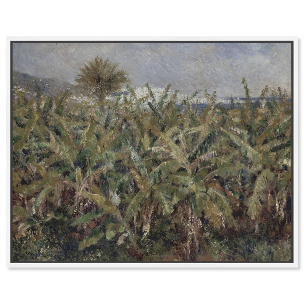 Field of Banana Trees Canvas by Art Remedy