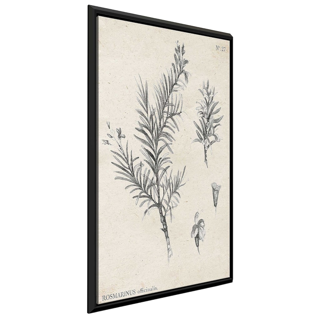 "Latin Botanicals I" Print on Floating Canvas