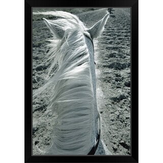 black and white framed horse pictures