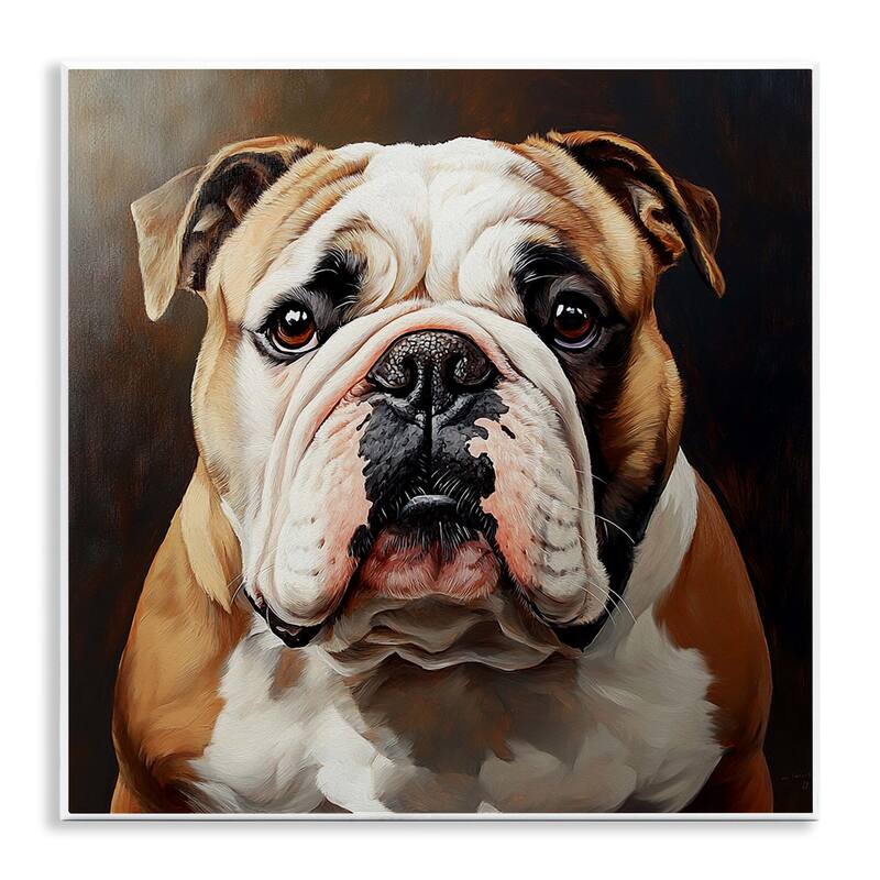 Stupell Stoic Bulldog Portrait Wall Plaque Art Design By Tom Crehan - 12 x 12