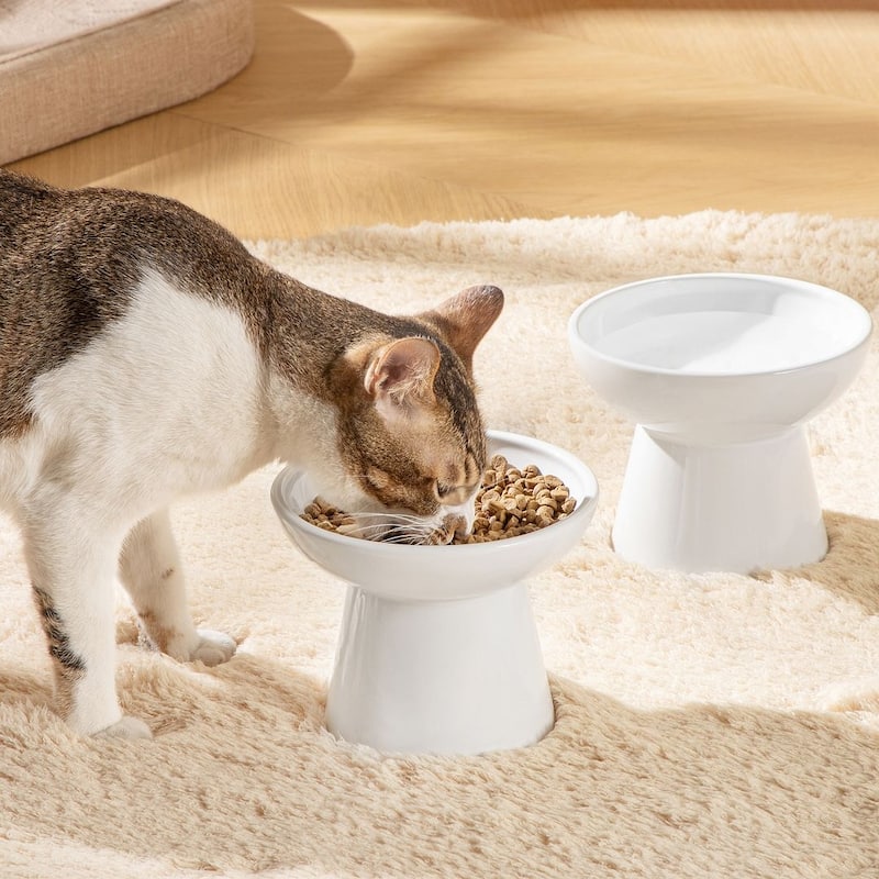 vancasso Elevated Stoneware 2-Piece Raised Dog & Cat Bowl Set