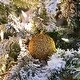 preview thumbnail 4 of 8, Luminous Tree Ornament Set