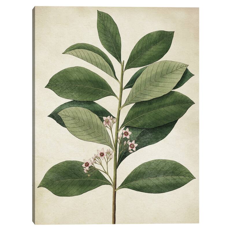 Simple Nature IV Texture Canvas Art Print