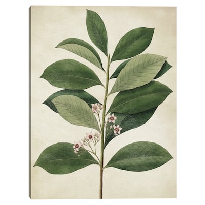 Simple Nature IV Texture Canvas Art Print