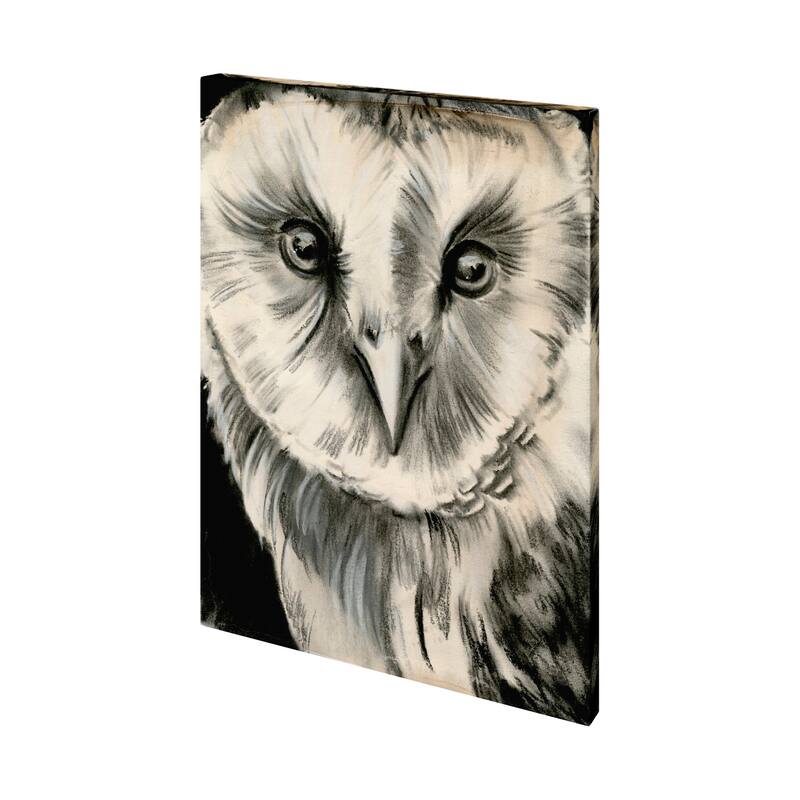 Charcoal Owl II Canvas Art Print - Small