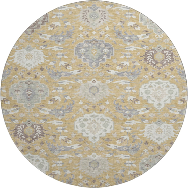 Premium Washable Super Soft Traditional Majestic Mayfield Rug