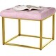 preview thumbnail 75 of 74, Upholstered Tufted Velvet Ottoman, Modern End of Bed Bench with Golden Metal Frame, Entryway Footrest Stool