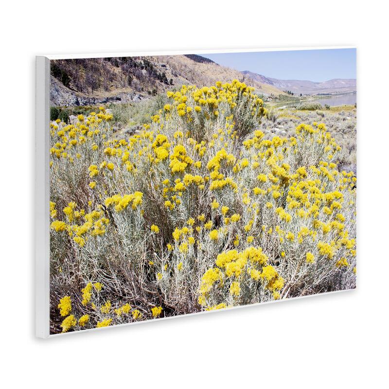 Stupell Yellow Flowers in Arid Meadow Wall Plaque Art Design By Gemma Bardot