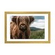preview thumbnail 7 of 18, iCanvas "Portrait Of A Young Scottish Wooly Highland Cattle" by Michael Schauer PFA Gold - 16x24x1