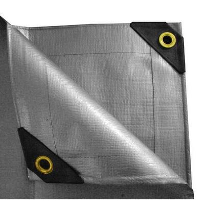 Shop 10 X 30 Heavy Duty Canopy Tarp Silver Overstock 16057104