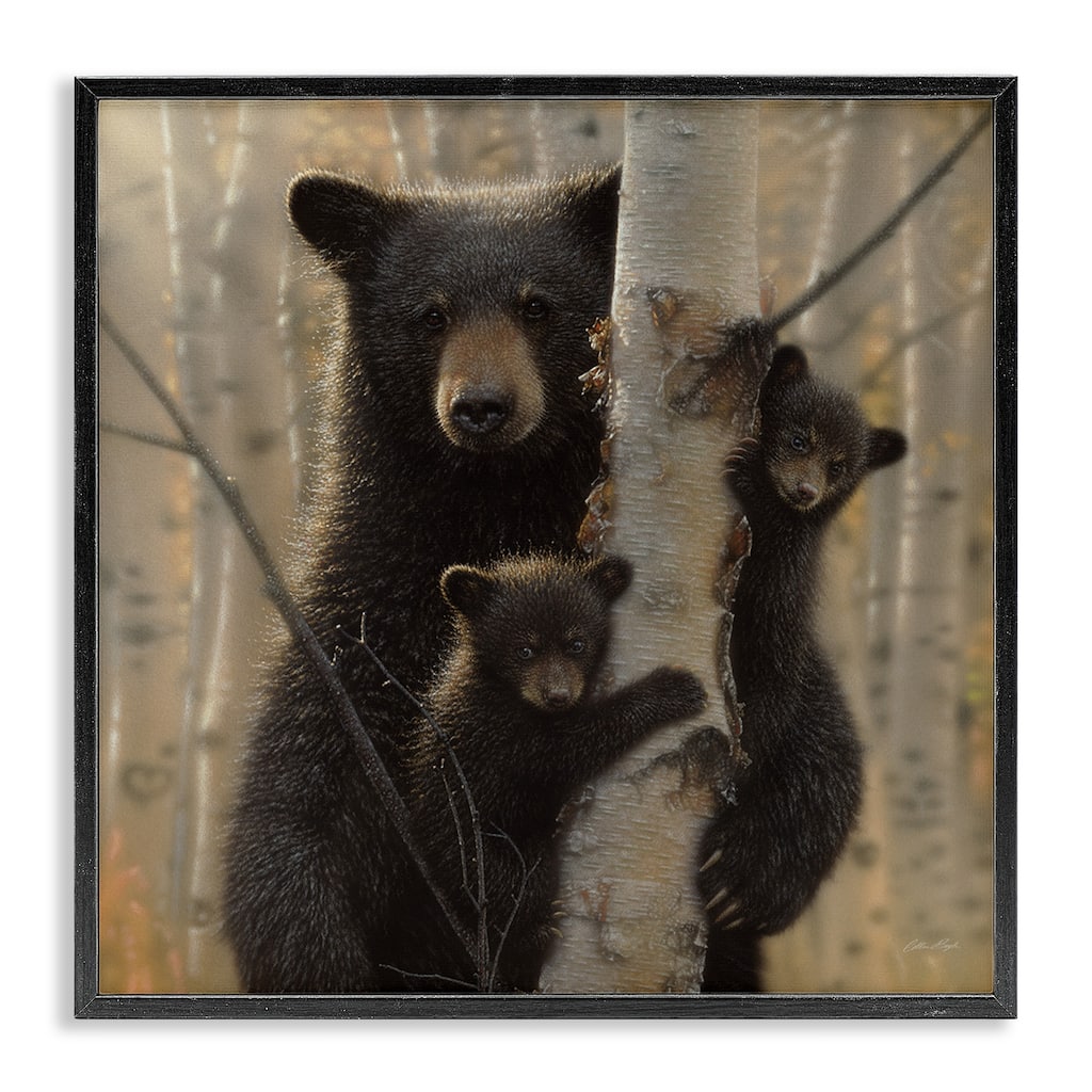 Stupell Black Bear and Cubs Soft Birch Tree Forest Framed Wall Art