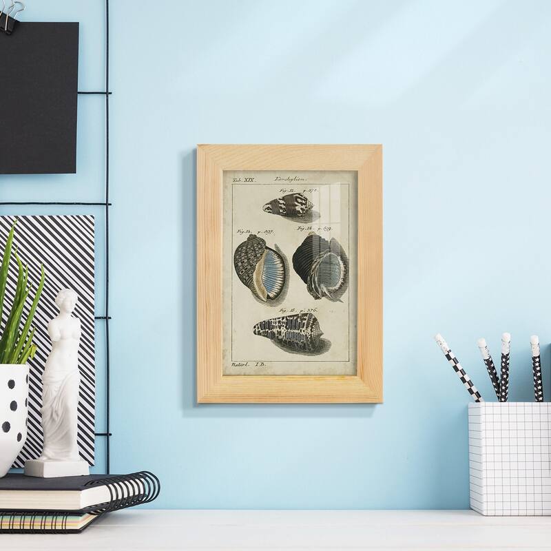 Vintage Shell Study III -Framed Print w/glass-Cherry Red