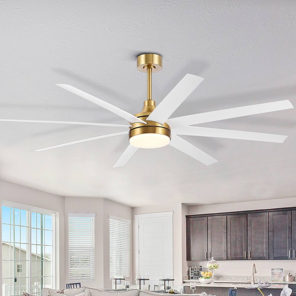 65 Inch Gold Modern Ceiling Fan with Light Remote(8-Blade)