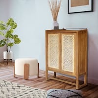 https://ak1.ostkcdn.com/images/products/is/images/direct/655c1aeaa0405aeb955ed643727d8780c8255033/Recycled-Teak-Wood-West-Indies-Cane-Cupboard---Bookcase.jpg?imwidth=200&impolicy=medium
