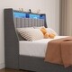 preview thumbnail 6 of 8, Queen Size Platform Bed with LED and 4 Under-bed Portable Storage Drawers