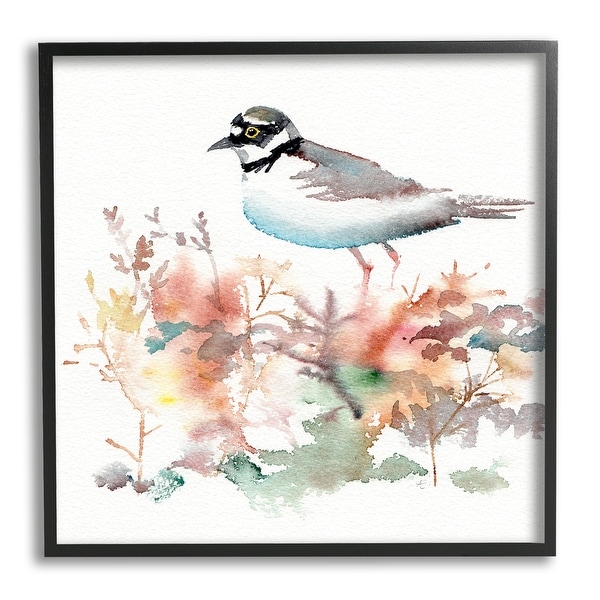 Get to Know the Birds of Turkey - 108 - Common Ringed Plover - Dreamstime