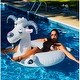preview thumbnail 4 of 2, Inflatable LOL Goat Swimming Pool Ring - 56" - Gray