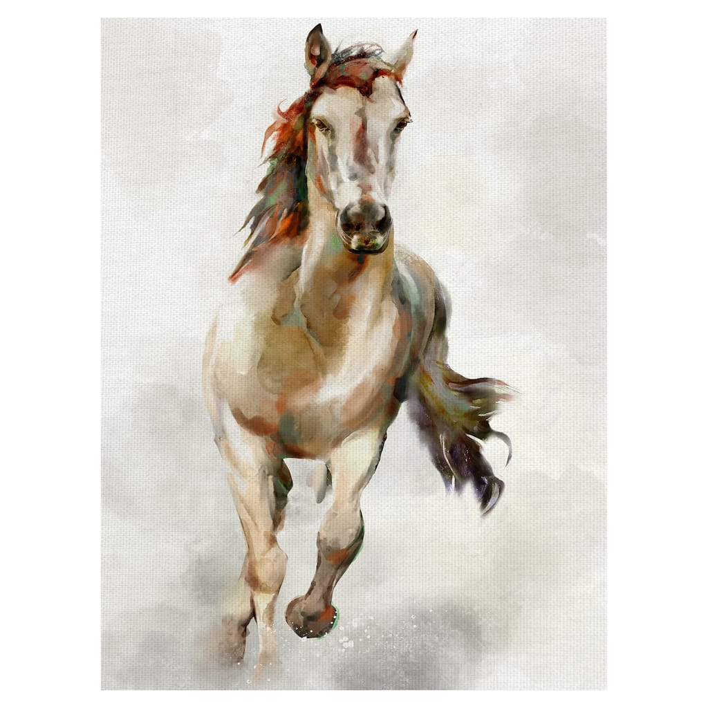 Spirit by Studio Arts Canvas Art Print