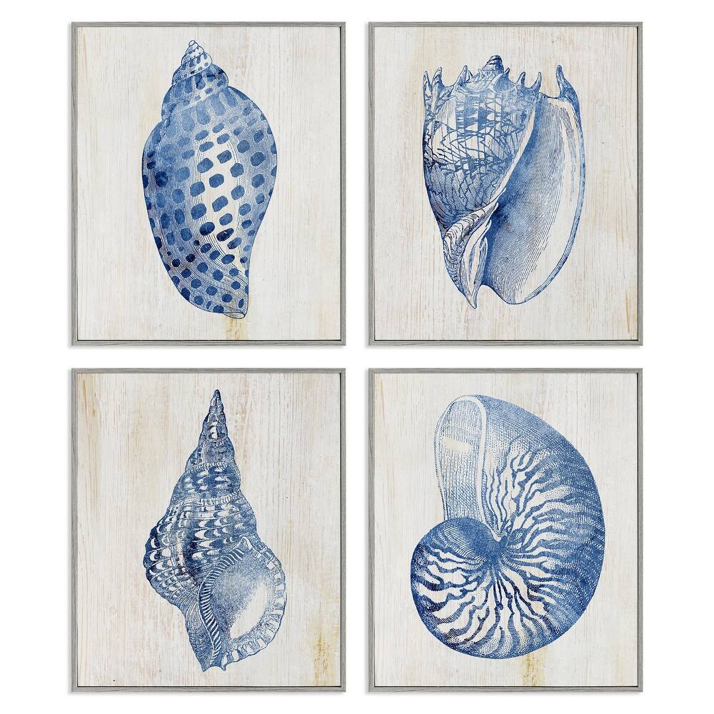 Stupell Blue Seashells on Beige Framed Giclee Art Design By Susan Arnot (Set of 4)
