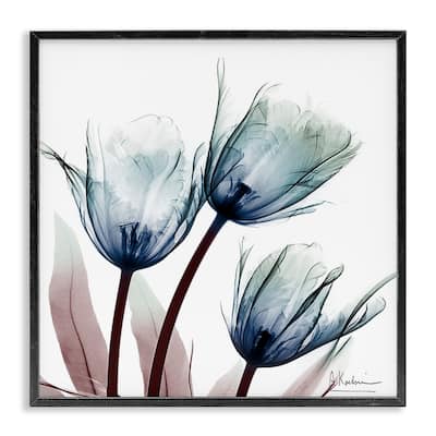 Stupell Translucent Tulip Bulbs Framed Giclee Art Design By Albert Koetsier