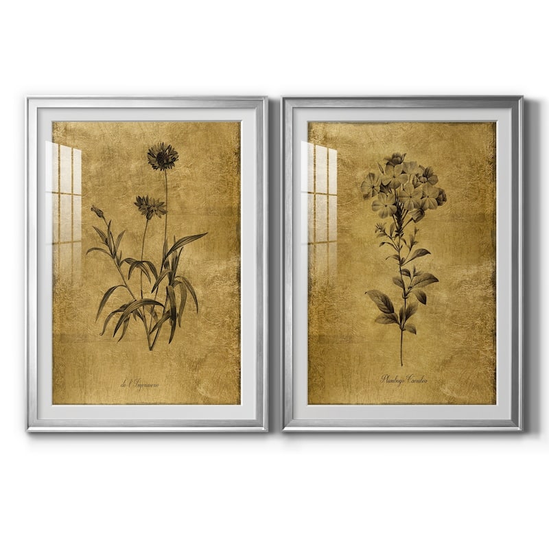 Gold Sketch Botanical I Premium Framed Print - Ready to Hang