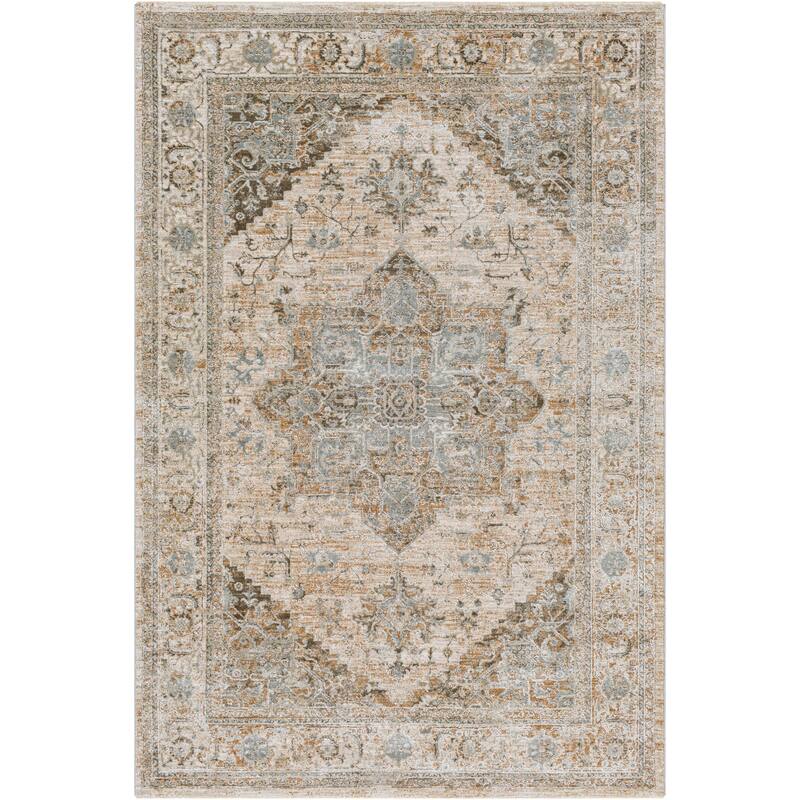 Artistic Weavers Remyr Vintage Distressed Area Rug