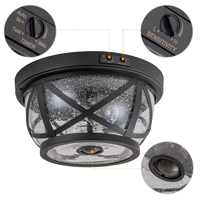 C Cattleya 2-Light Matte Black Motion Sensing Outdoor Flush Mount Light With Clear Seeded Galss