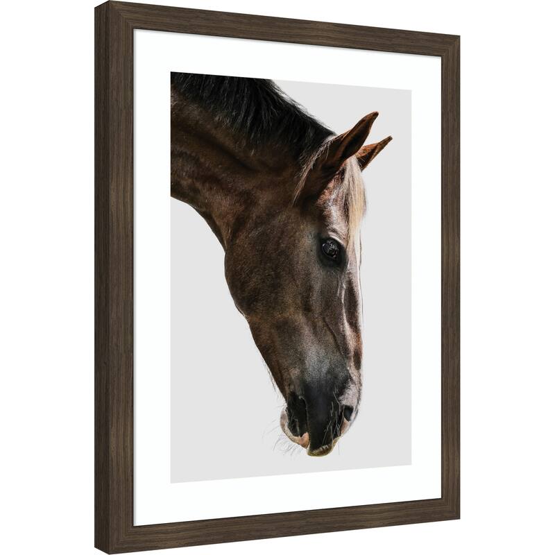 Majestic Equine Gaze by Shot by Clint Wood Framed Wall Art Print