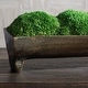 preview thumbnail 3 of 1, Uttermost Canal Moss Small Centerpiece - 17 W x 5 H x 3 D (inches)
