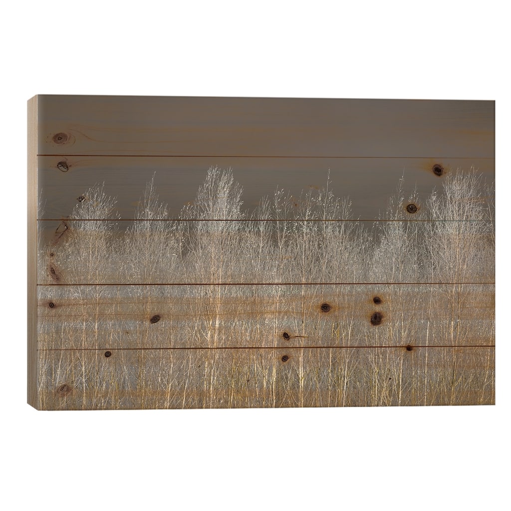 Silver Forest Print On Wood by Assaf Frank - Multi-Color