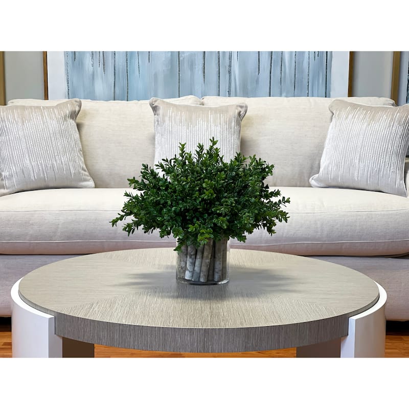 Boxwood in a Glass Vase with Birch Sticks - Green