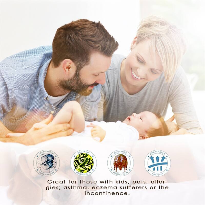 Bed Bug Dust Mite with Waterproof Mattress Protector 1-Pack