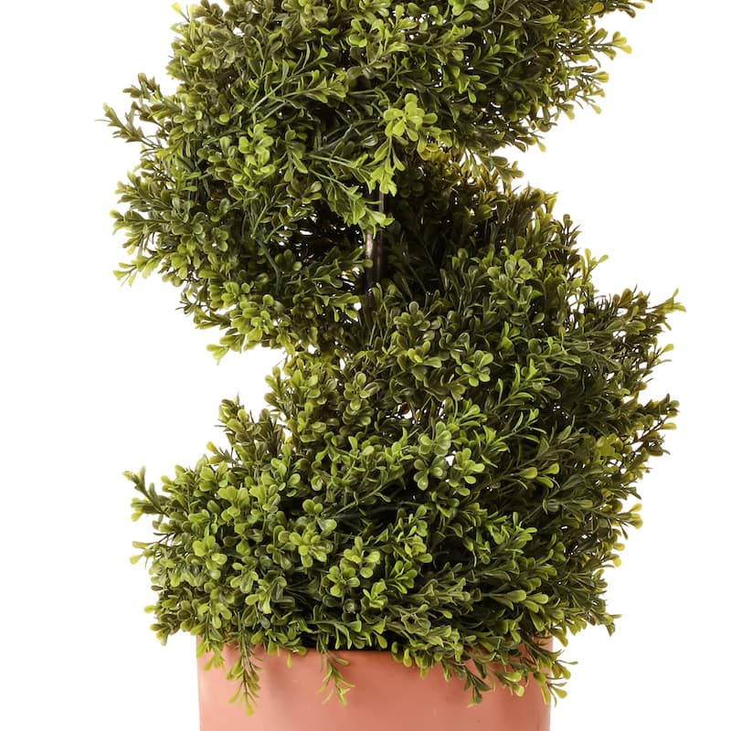 Spring Boxwood Spiral Terracotta pot 52"