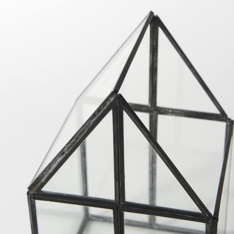 HomeRoots Clear Glass and Metal Terrarium Box