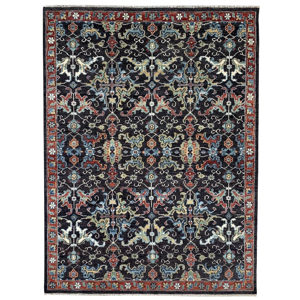 Brown/Red Hand Knotted Wool Traditional Serapi Rug, 9' x 12', soft stylish floor rug - L