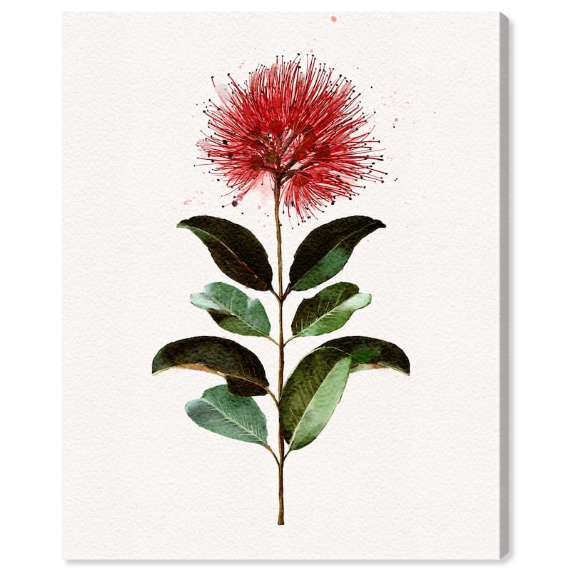 Wynwood Studio Canvas Floral and Botanical My Own Dandelion Red and Traditional Wall Art Canvas Print - Red, Green