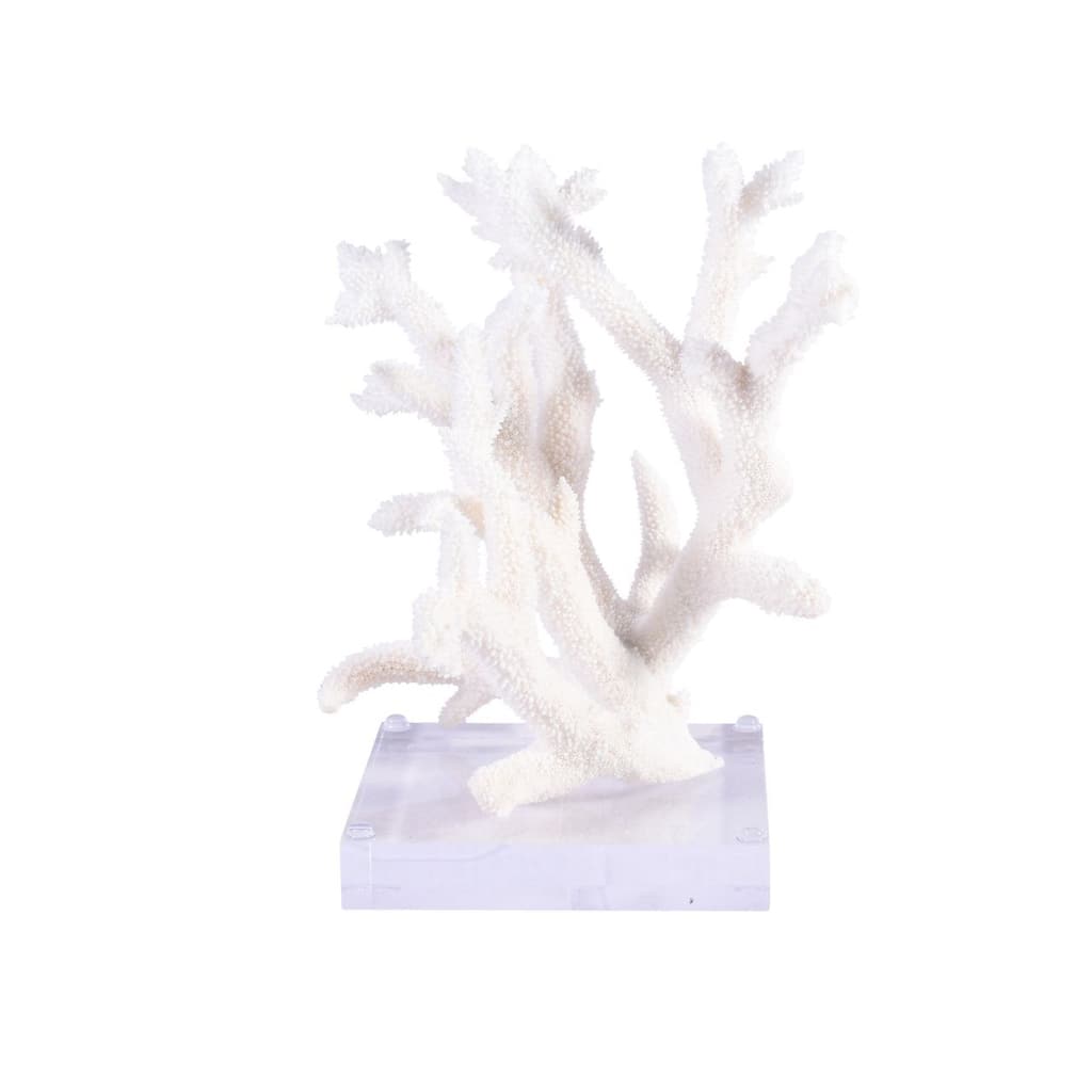 Staghorn Coral 10-12 Inch On Acrylic Base