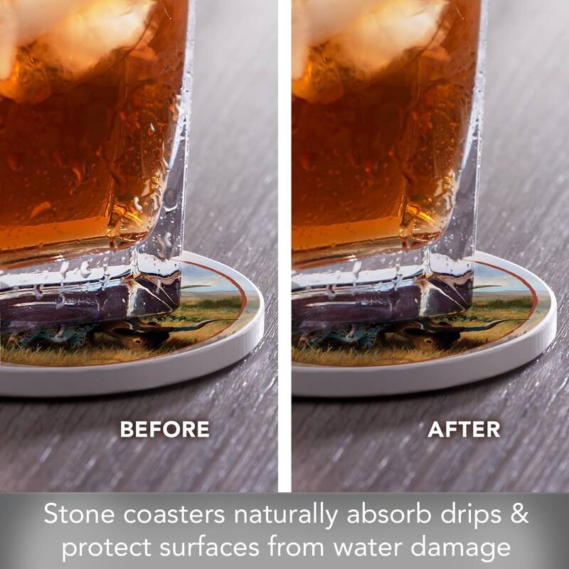 Longhorns 4 Pack Absorbent Stone Coasters with Protective Cork Backing Made in The USA Artistic Absorbent Easily Wipes Clean