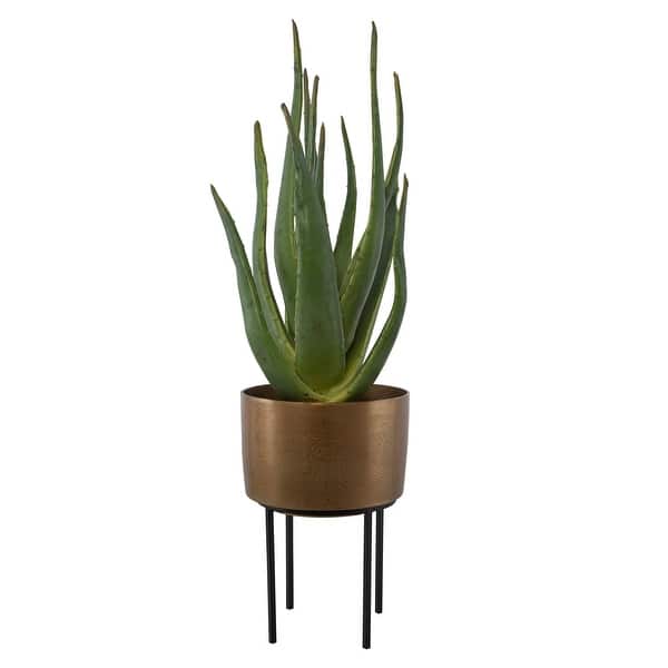slide 2 of 4, Uttermost Arabia Aloe Planter - 19.7"W x 37"H x 19.7"D