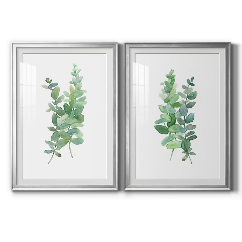 Eucalyptus I Premium Framed Print - Ready to Hang