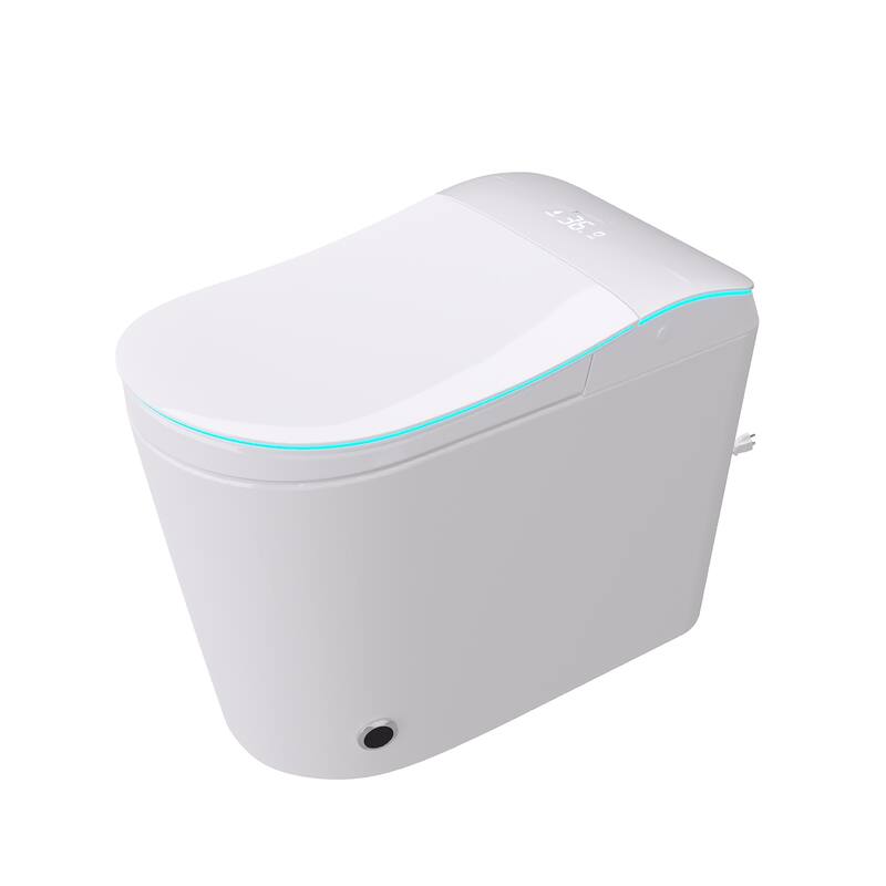 Smart Toilet with Bidet, Heated Seat, Auto Flush, Warm Air Dryer, Night Light, One-Piece Intelligent Toilet 220 lbs Capacit