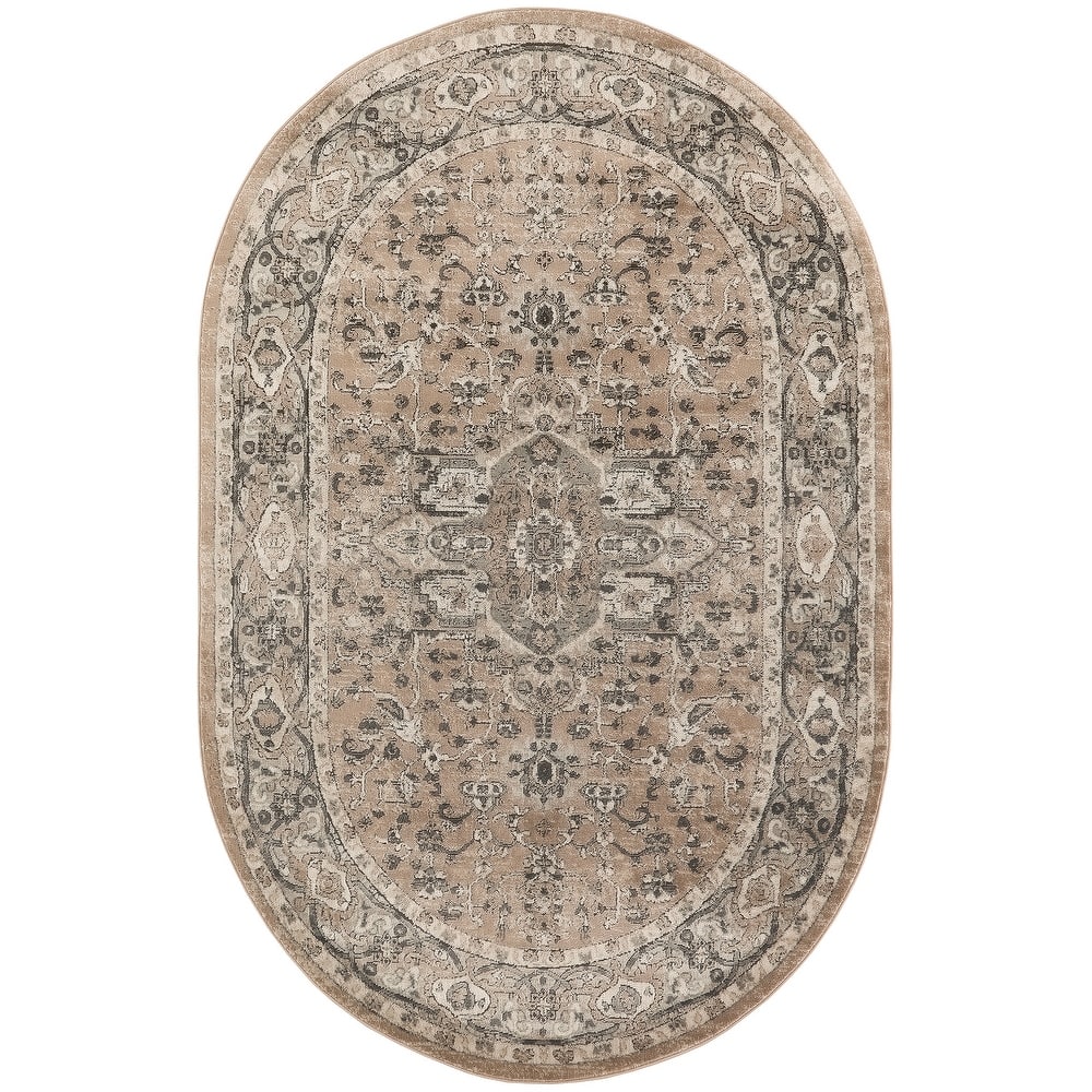 Nourison Concerto Classic Persian Medallion Area Rug.
