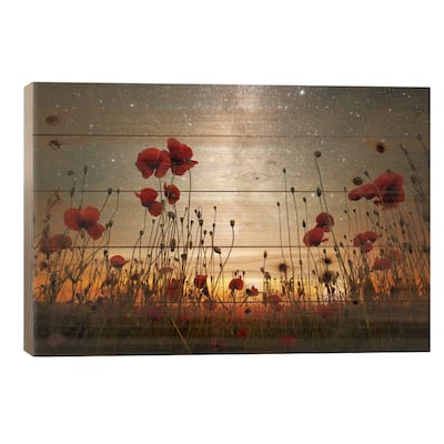 Moonrise Kingdom I Print On Wood by Adrian Borda - Multi-Color
