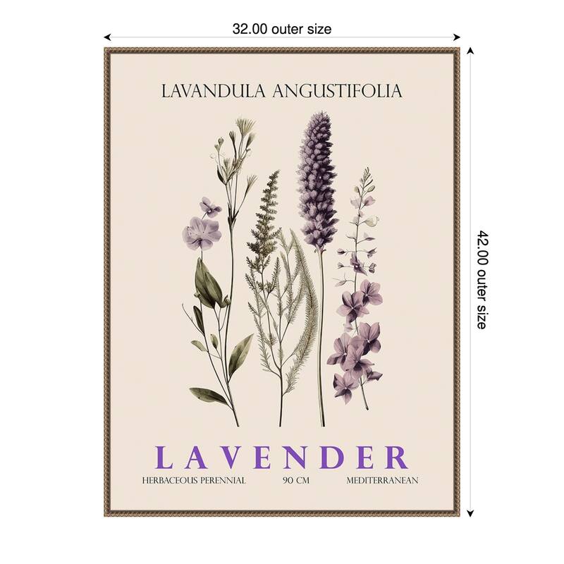 Vintage Botanical Lavender No. 2 Illustration by Christopher Giampietro Framed Canvas Wall Art Print - Gold - 32 x 42 in