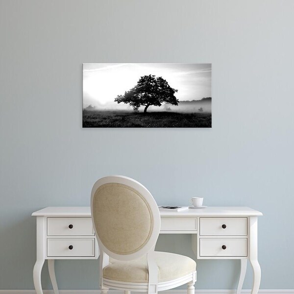 Easy Art Prints PhotoINC Studio's 'Solemn Tree' Premium Canvas Art