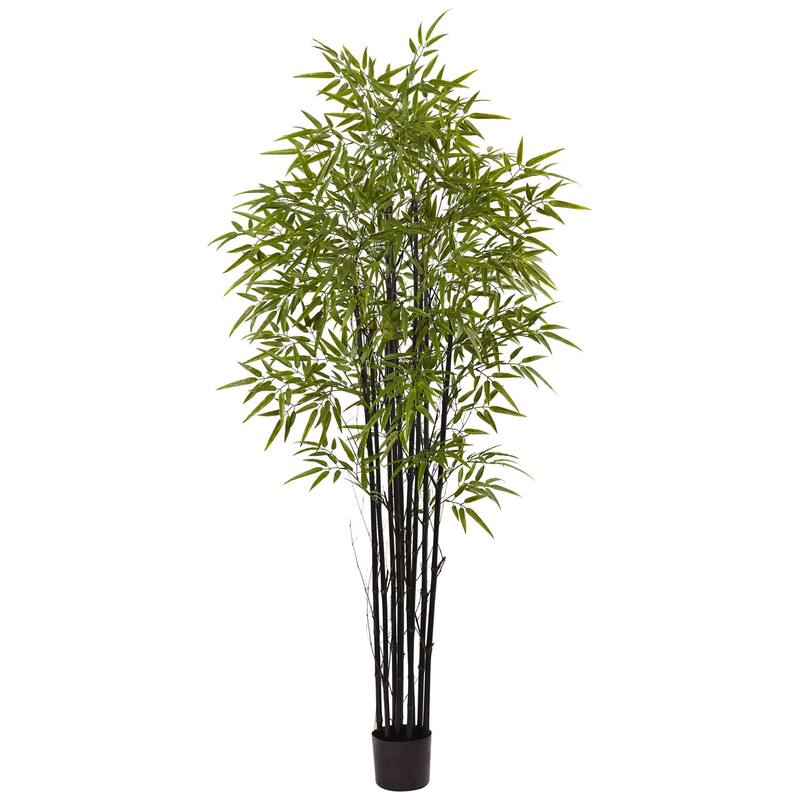 6ft Black Bamboo Tree - Indoor Outdoor Decorative Plant, Tall Faux Bamboo, Modern Home Office Decor